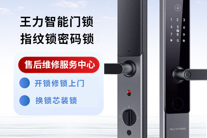 王力智能防盗门锁